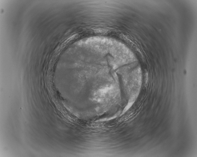 X0000085771249200704131754