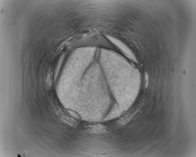 X0000085771250200704131754