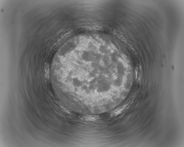 X0000085771251200704131754