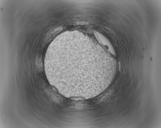 X0000085771252200704131754