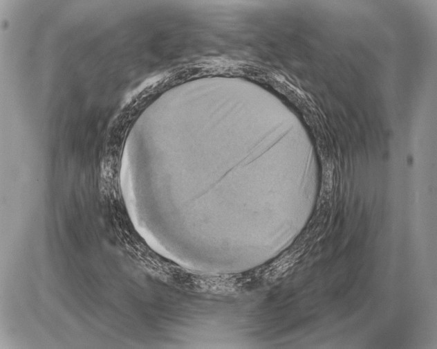 X0000085771254200704131754