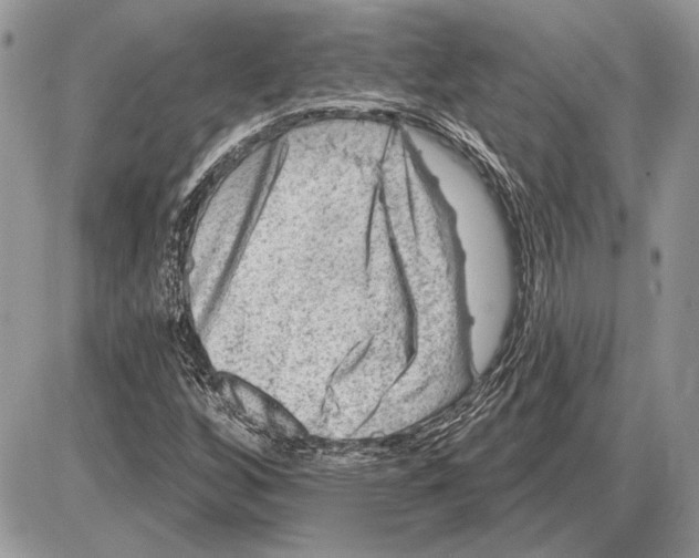 X0000085771256200704131754