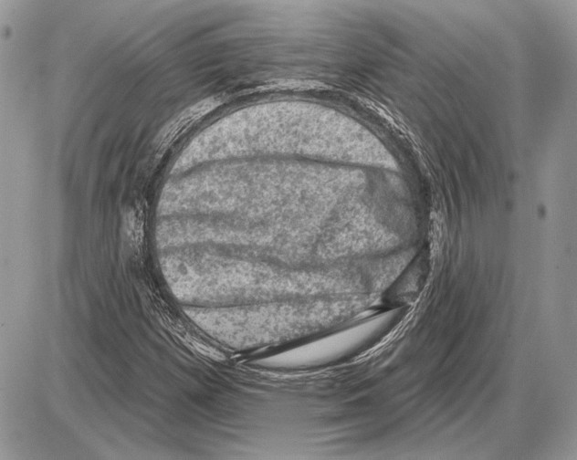 X0000085771257200704131754