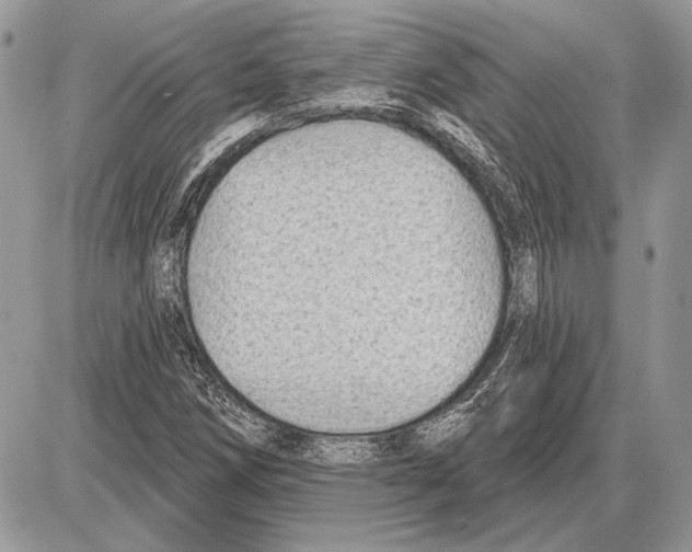 X0000085771258200704131754