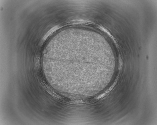 X0000085771259200704131754