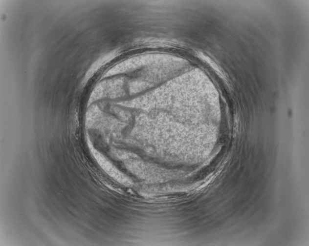 X0000085771261200704131754