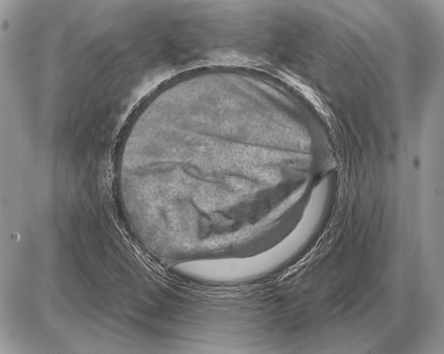 X0000085771264200704131754