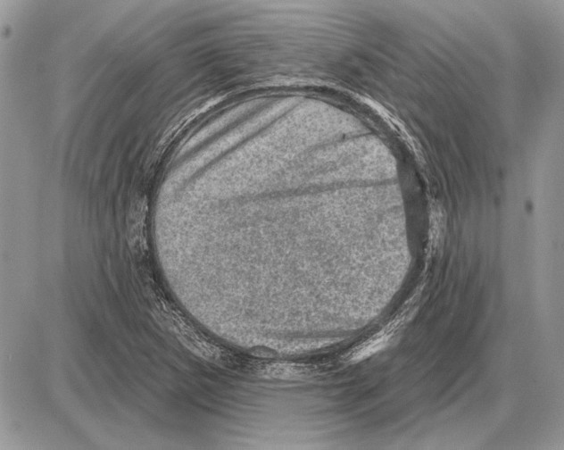 X0000085771265200704131754