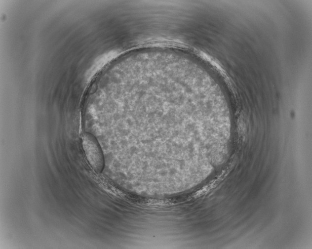 X0000085771267200704131754