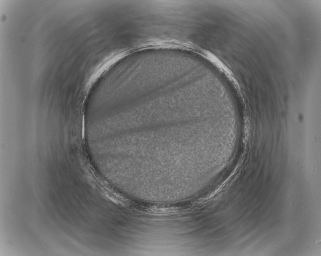 X0000085771269200704131754