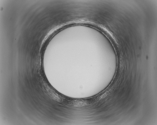 X0000085771270200704131754