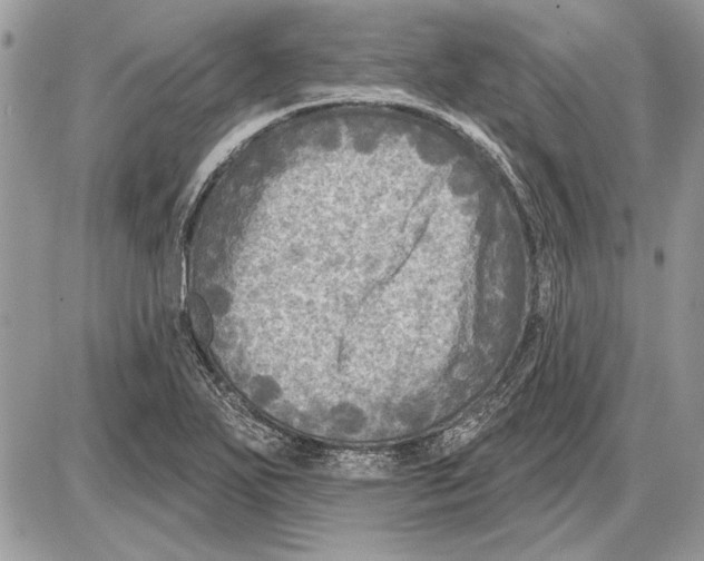 X0000085771271200704131754