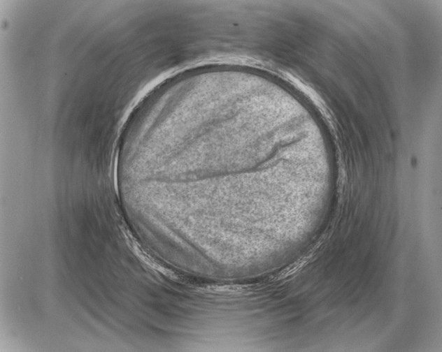 X0000085771272200704131754