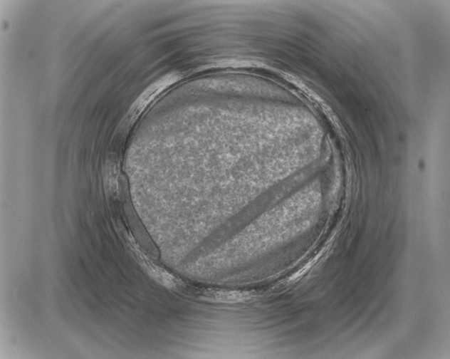 X0000085771273200704131754