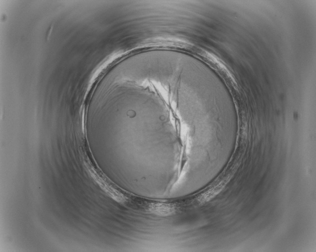 X0000085771275200704131754