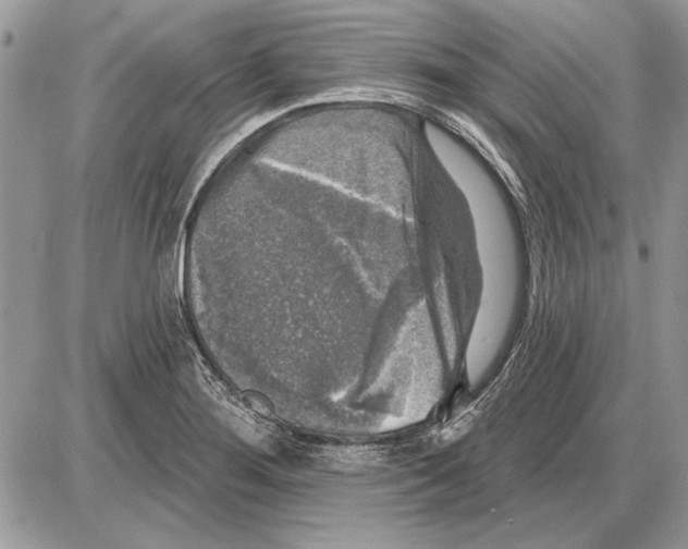 X0000085771276200704131754