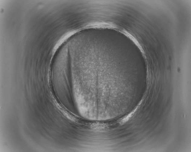 X0000085771277200704131754