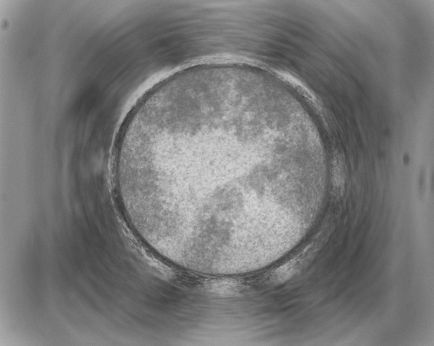 X0000085771278200704131754