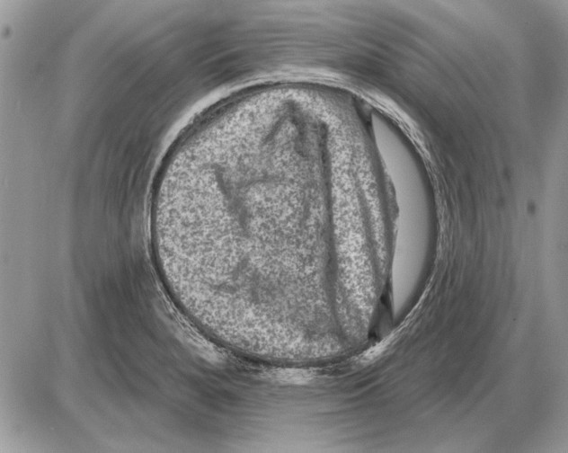 X0000085771280200704131754