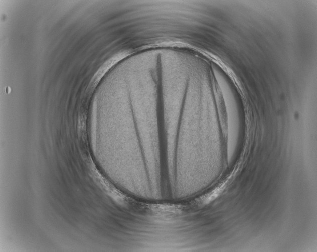 X0000085771281200704131754