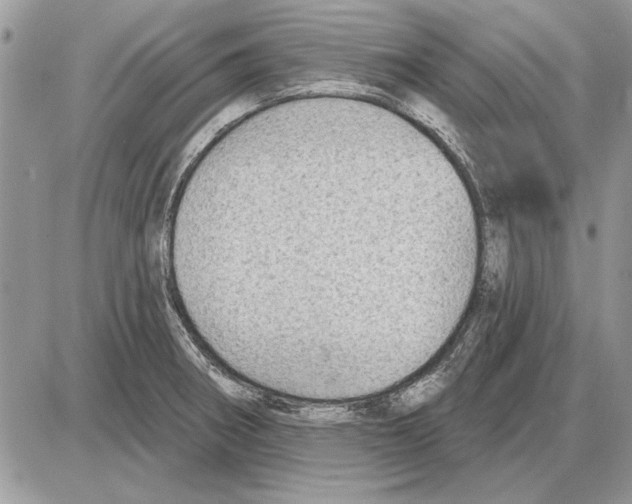 X0000085771282200704131754