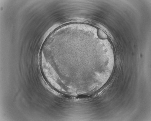 X0000085771283200704131754