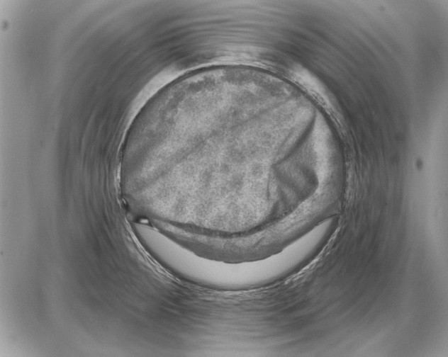 X0000085771284200704131754