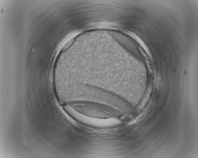 X0000085771285200704131754