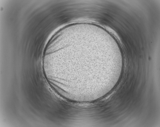 X0000085771288200704131754