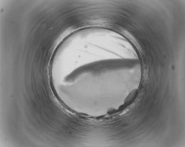 X0000085771291200704131754