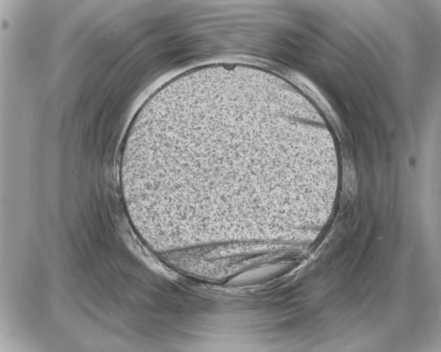 X0000085771292200704131754