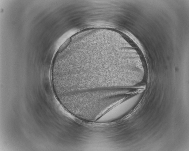 X0000085771293200704131754