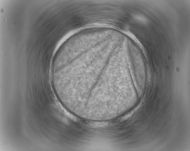 X0000085771294200704131754