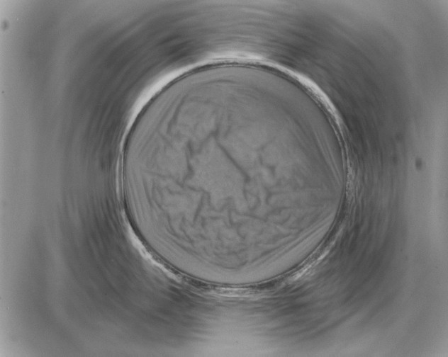 X0000085771295200704131754