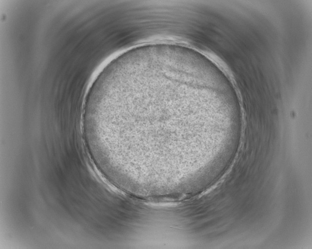 X0000085771296200704131754