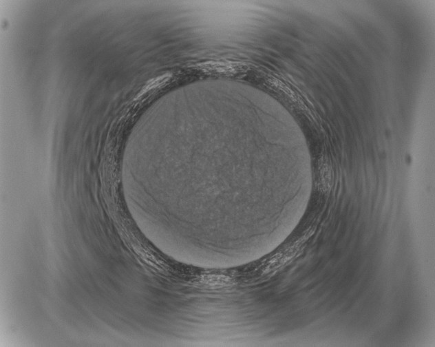 X0000085771297200704131753