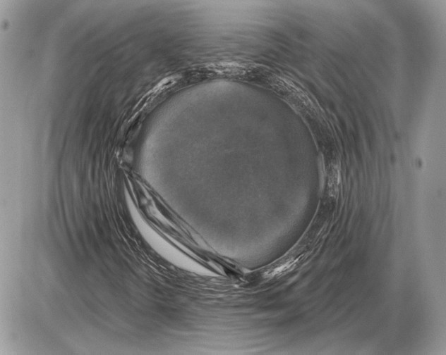 X0000085771298200704131753