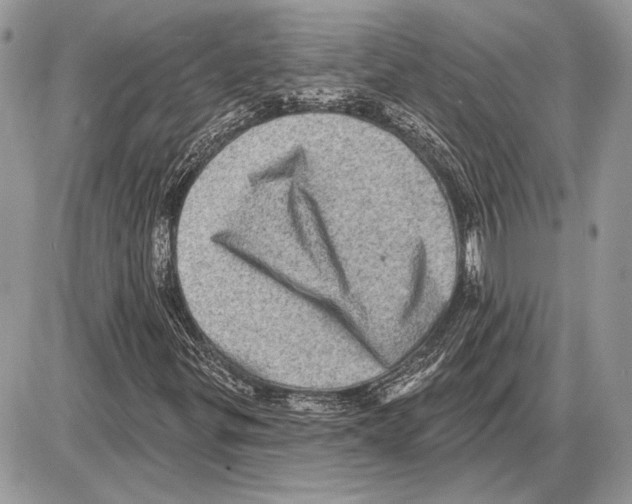 X0000085771299200704131753