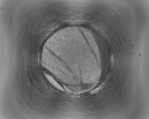 X0000085771300200704131753