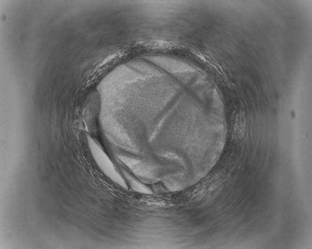 X0000085771301200704131753