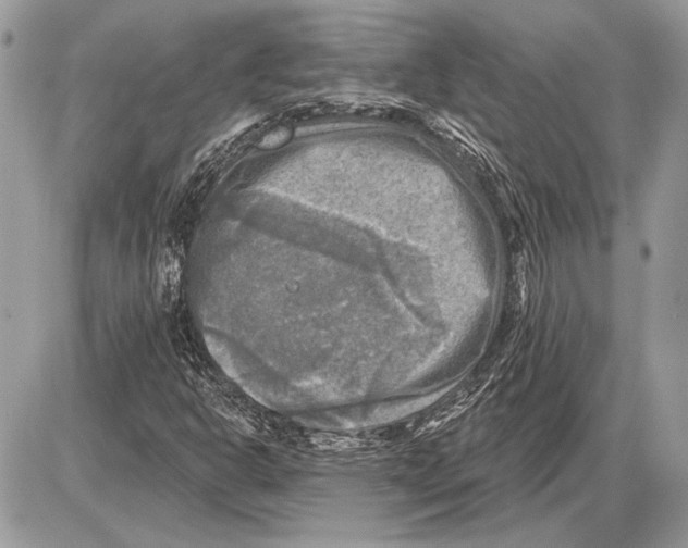 X0000085771302200704131753