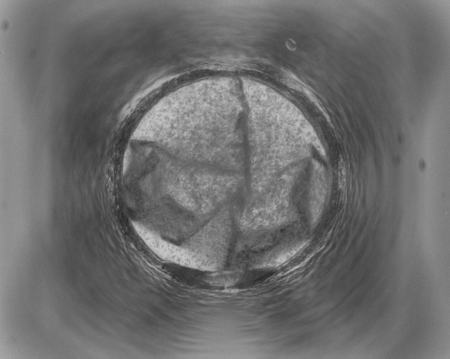 X0000085771304200704131753