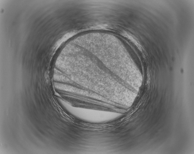 X0000085771308200704131753