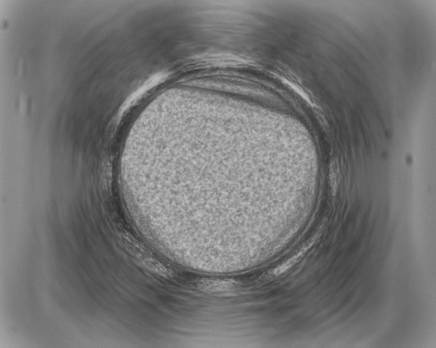 X0000085771309200704131753