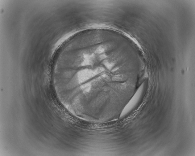 X0000085771311200704131753