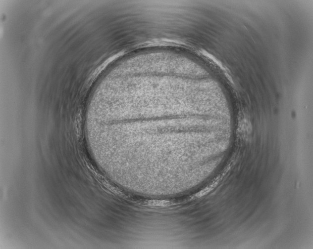 X0000085771313200704131753