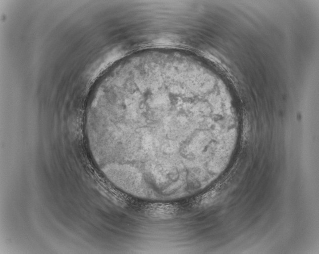 X0000085771314200704131753