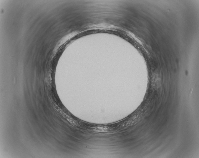 X0000085771315200704131753