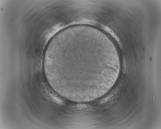 X0000085771316200704131753