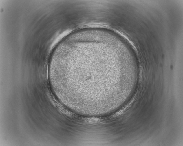 X0000085771317200704131753